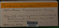 Image Associated With the Occurence